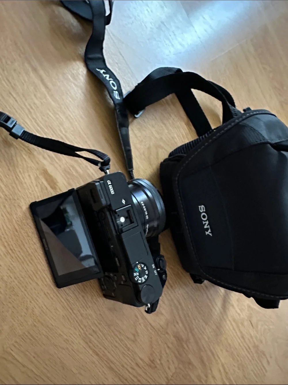 Sony Black Alpha6000 Mirrorless Camera with Black Sony Carry Case